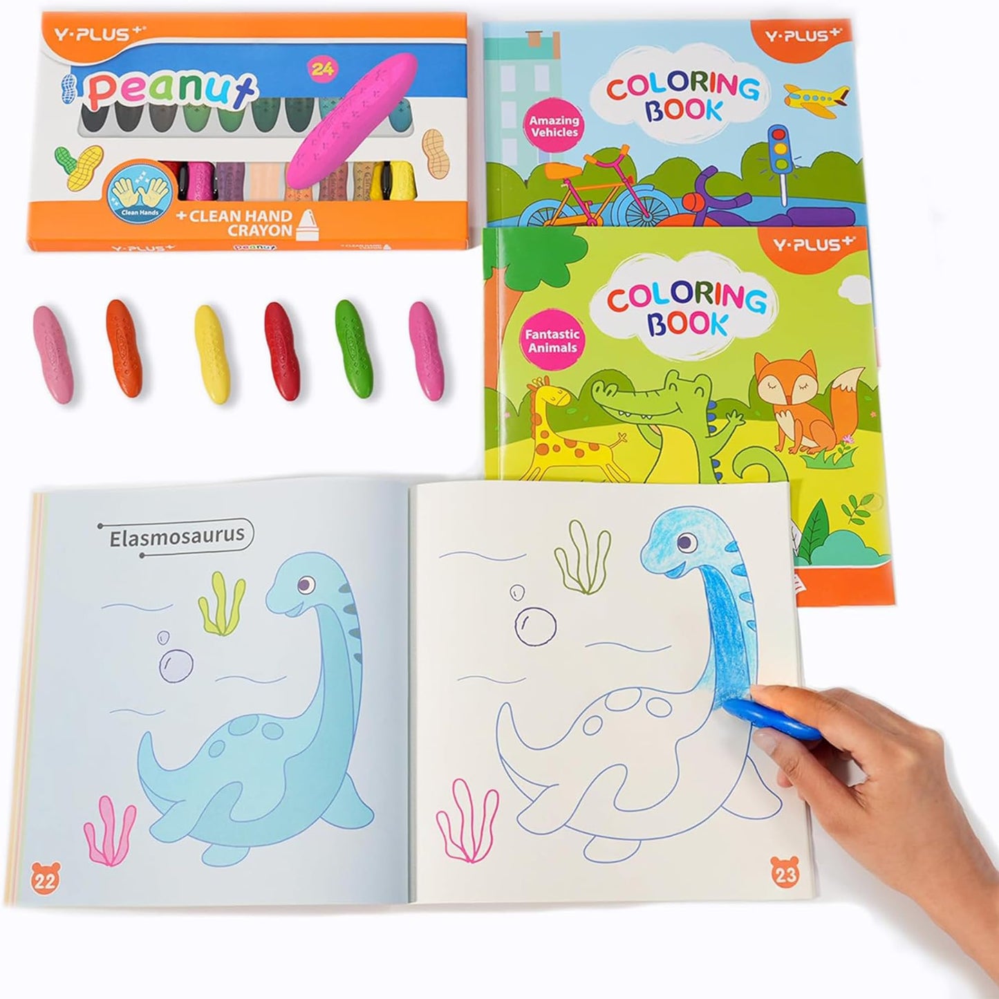 YPLUS Erdnuss Wachsmalstifte für Kleinkinder, Ungiftige Wachsmalstifte, Leicht zu Halten, Waschbare sichere Kleinkindmalstifte für Kinder Malzubehör (Pastell 24 Colors)